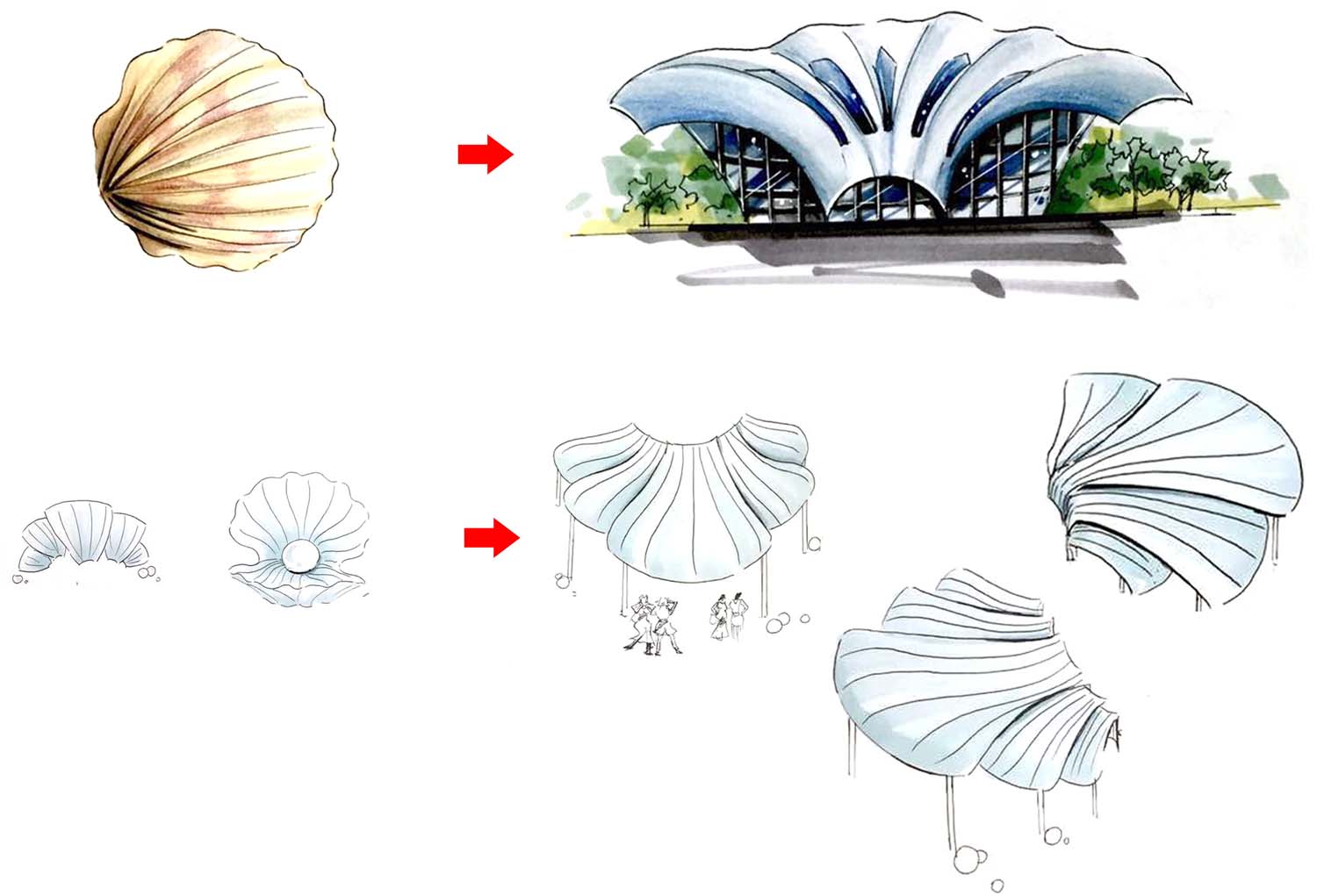 1664441314984307.jpg 3.jpg