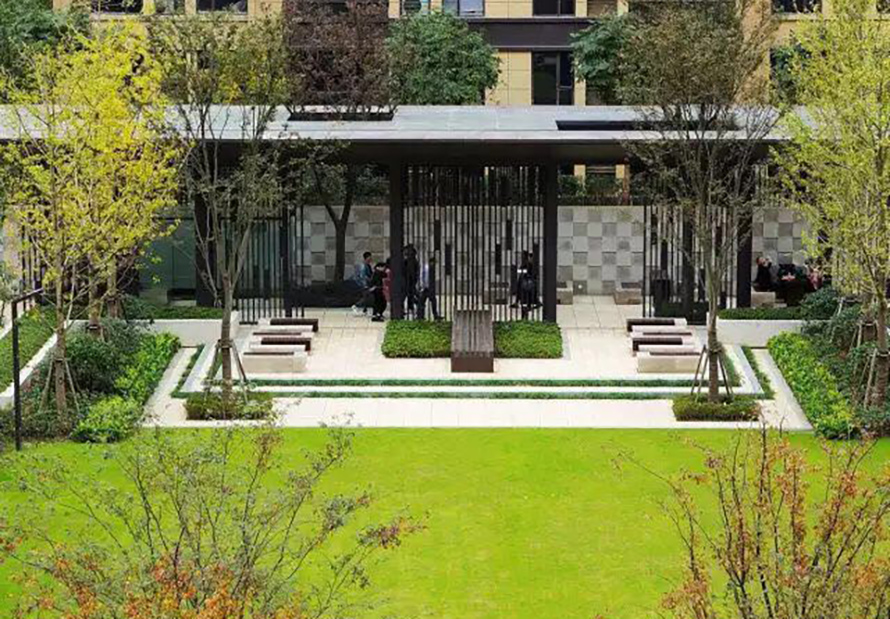 1684978444178420.jpg 17.jpg