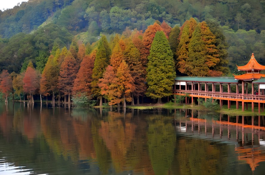 1684978596444305.jpg 3.jpg