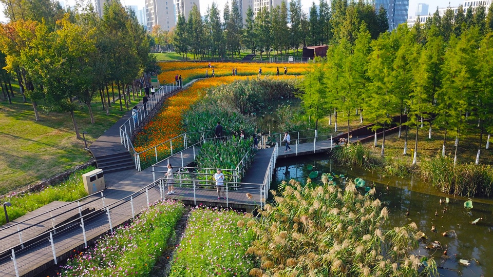 1684997738700087.jpg 9Ningbo-Eastern-New-Town-Ecological-Corridor-Phase-III-by-Turenscape-960x540.jpg