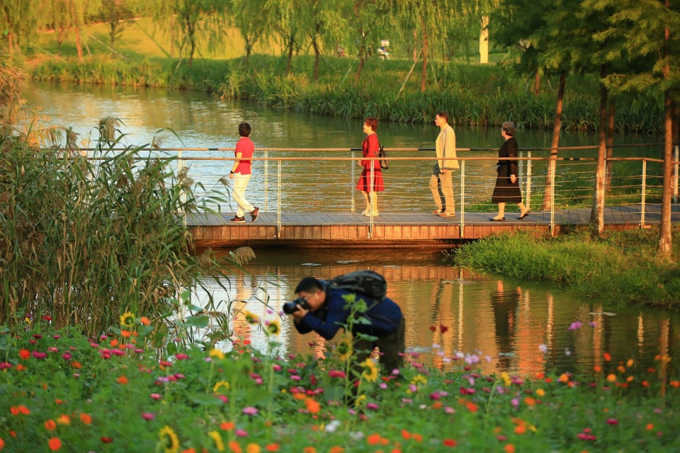 1684997747802264.jpg 25Ningbo-Eastern-New-Town-Ecological-Corridor-Phase-III-by-Turenscape-960x640.jpg