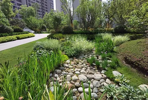 1695268574291329.jpg 4ef889f754bb4e685b123fdf0411aa532791bfff5a7a5f-ndWeZO_fw480webp.webp.jpg