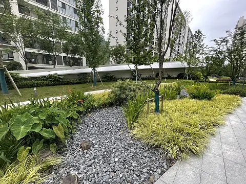 1695268776718189.jpg 9.jpg