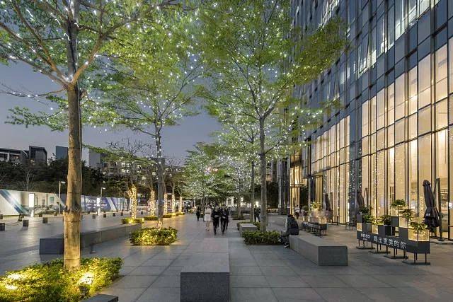 1701070022927627.jpg 照树灯4.jpg