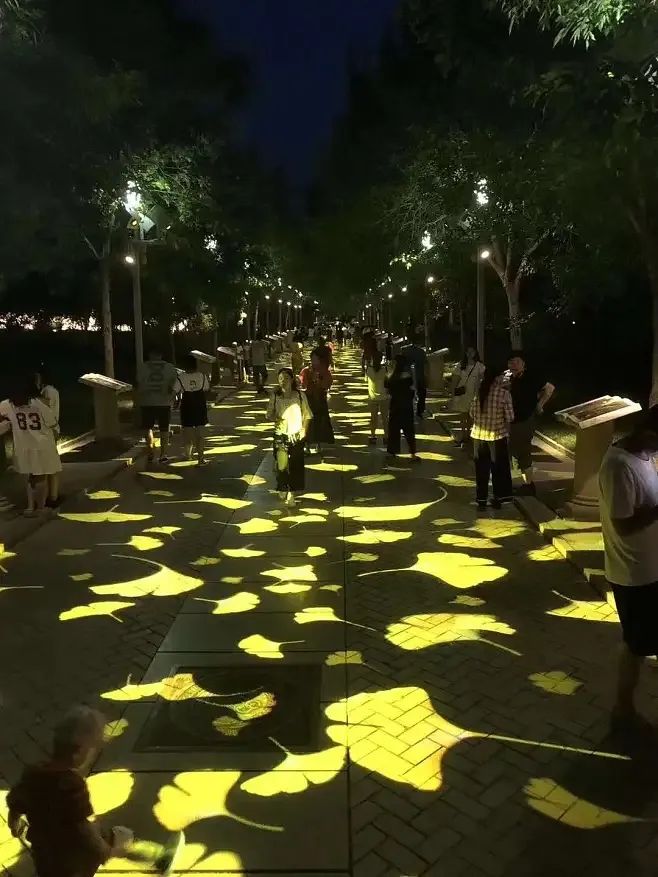 1701070099554630.jpg 6405.jpg