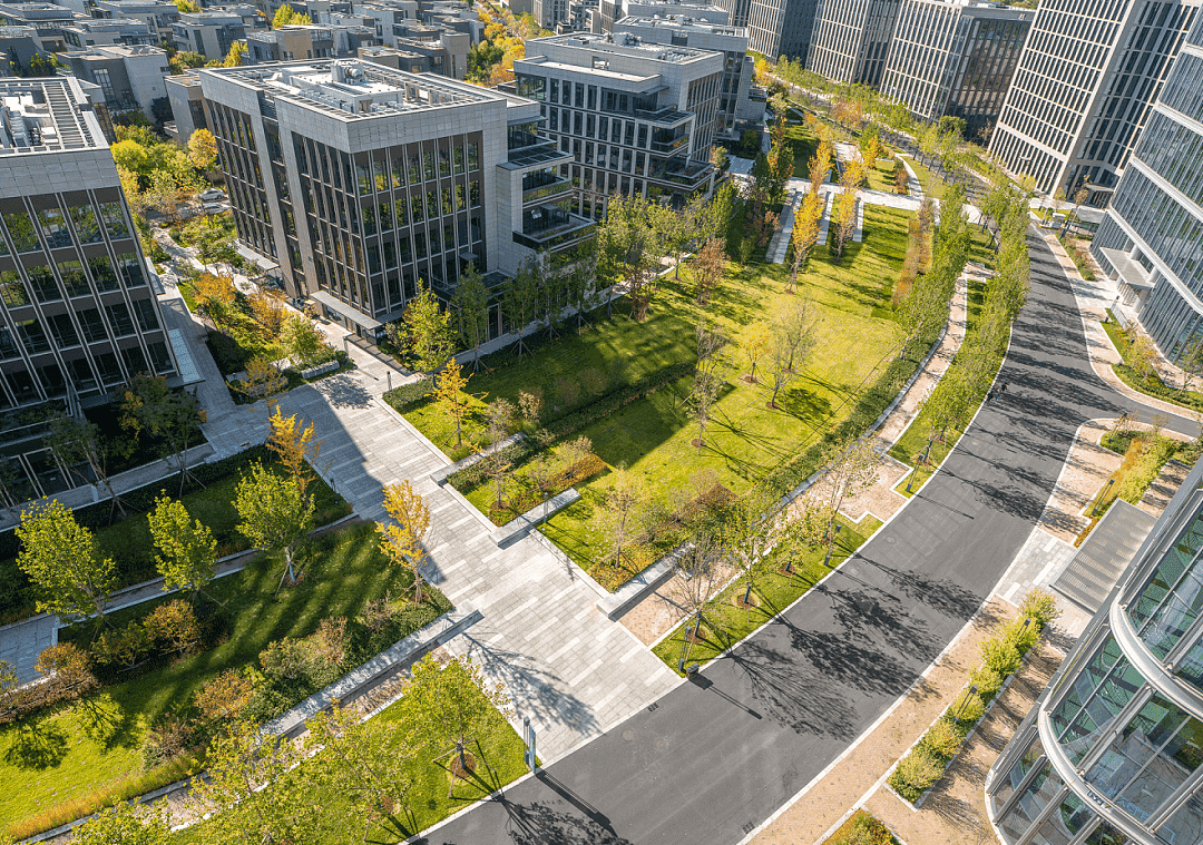 1701070693592150.png dfe71bed065f6cfb8da5c9480af4c8e8c5683f1b1f15e9-NMSLT4_fw1200_new_new_new.png