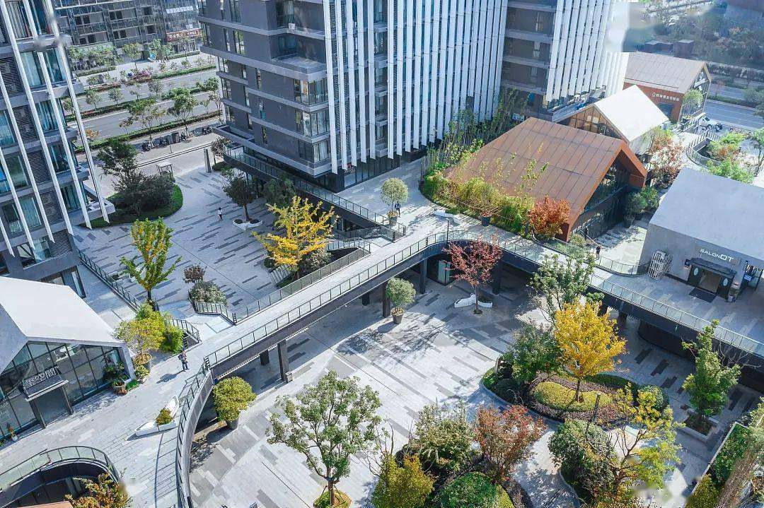 1701071024583080.jpg c786e9bc754768304e5fbacd1ff8cd487a9aba4730f05-QqQ0H4_fw1200.jpg